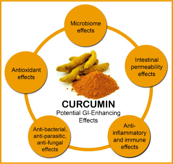 Curcumin and Inflammatory Bowel Diseases